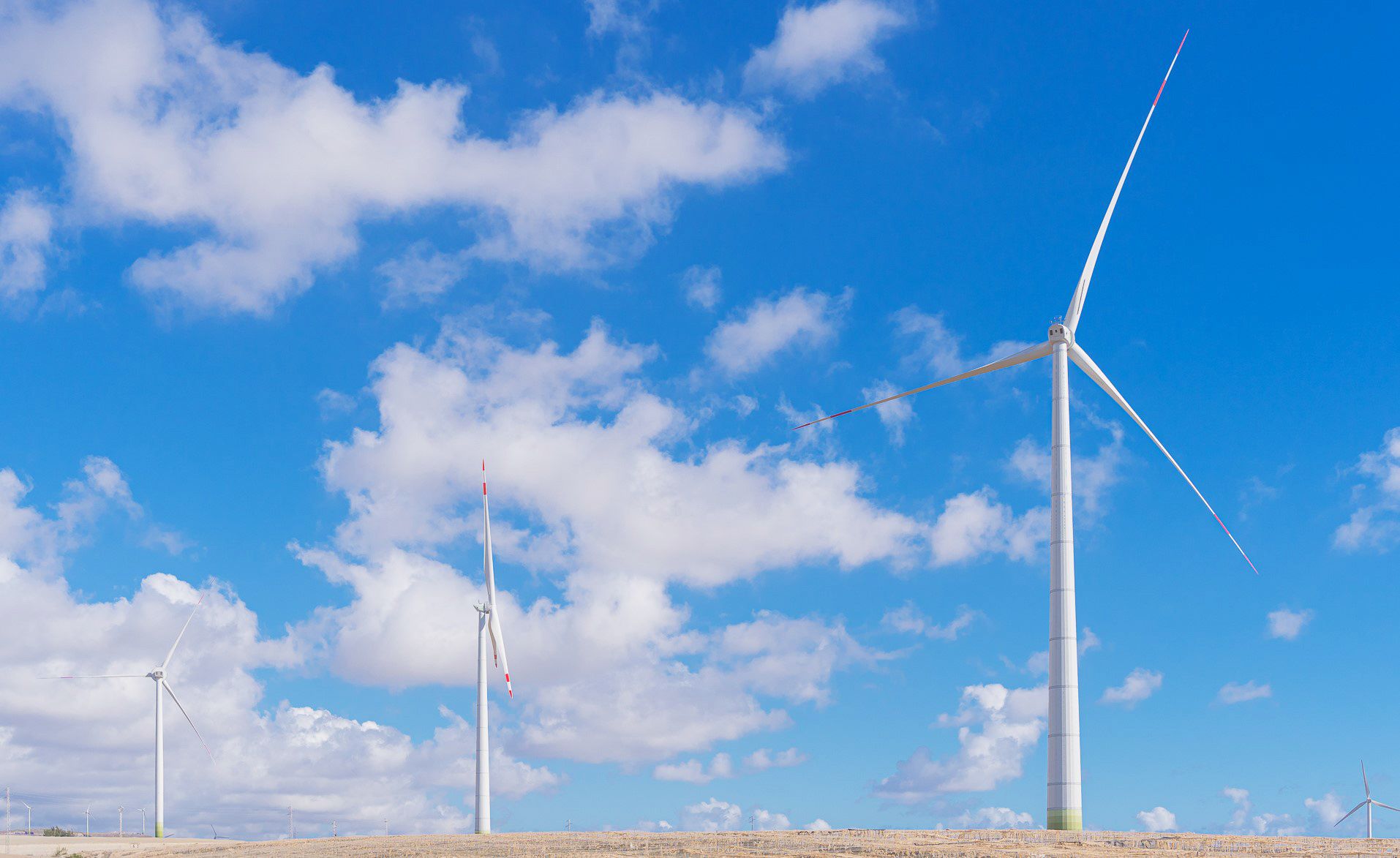 Ecoener multiplica por 3,6 su beneficio neto en 2022 y supera los 20 millones de euros