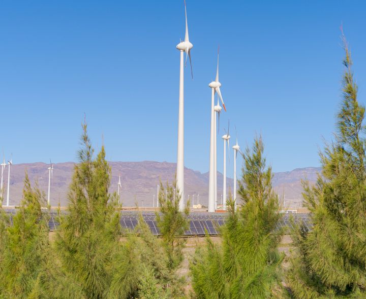 Ecoener data section image