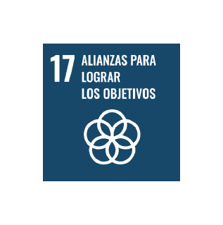 ODS 17