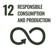 SDG 12: responsible consumption and production