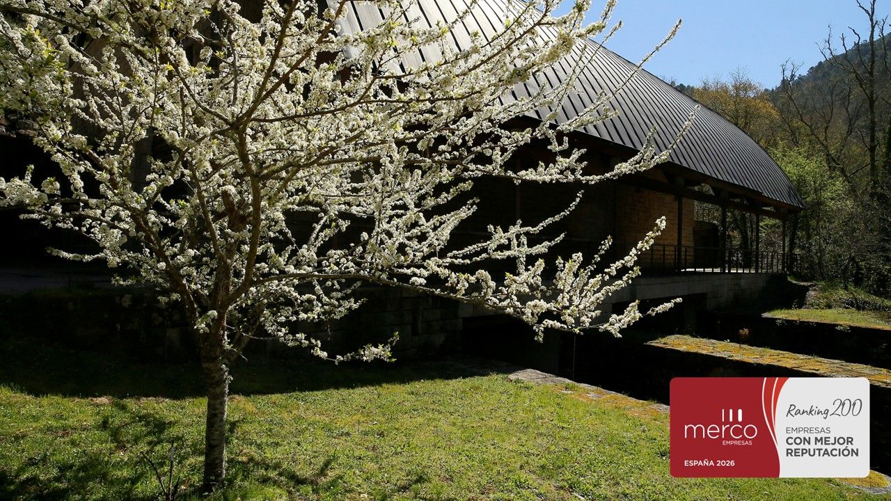 Ecoener, among the energy companies with the best reputation in Spain