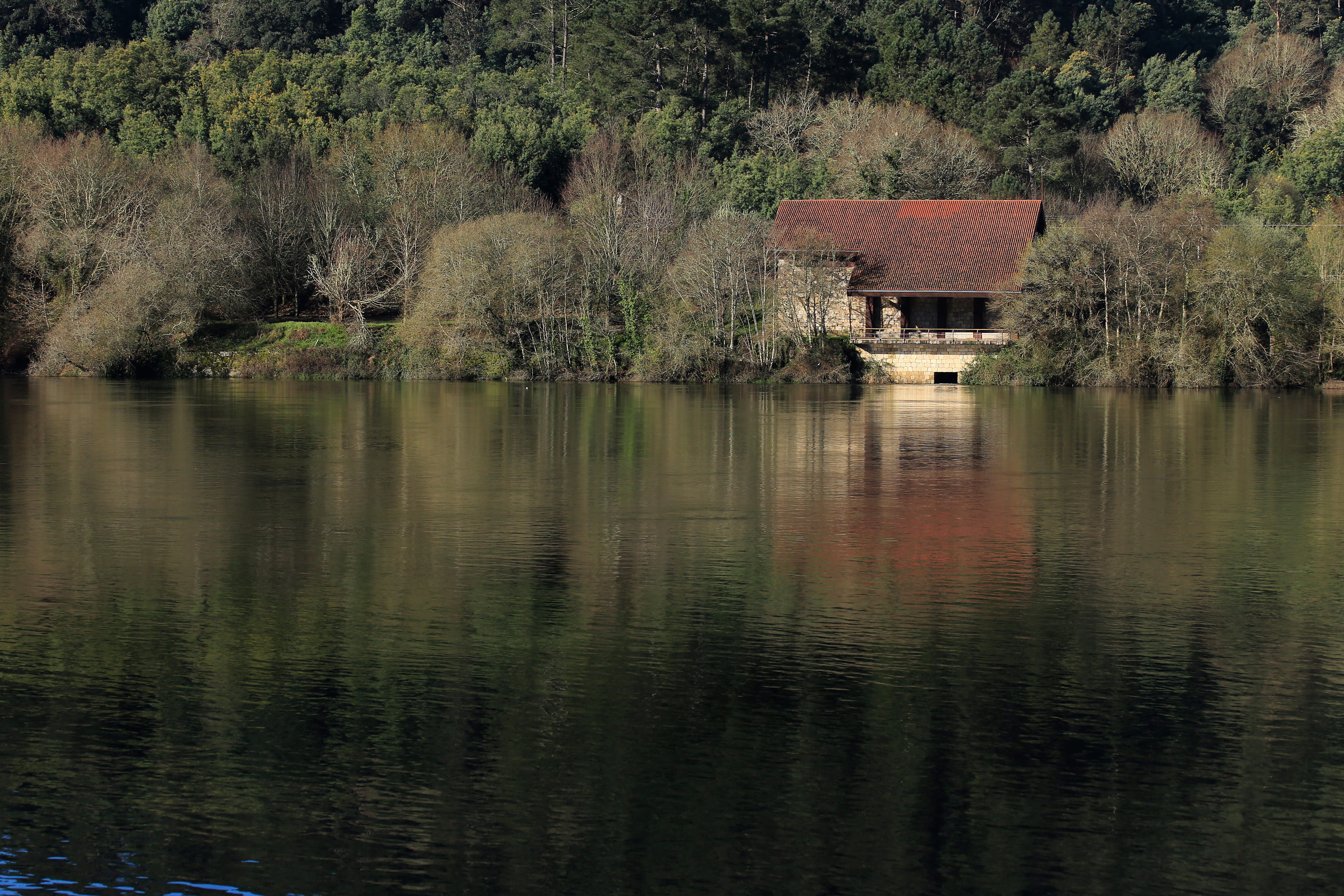 Ecoener has secured €8.4 million from the Next Generation EU funds to upgrade four small hydroelectric power stations in Galicia